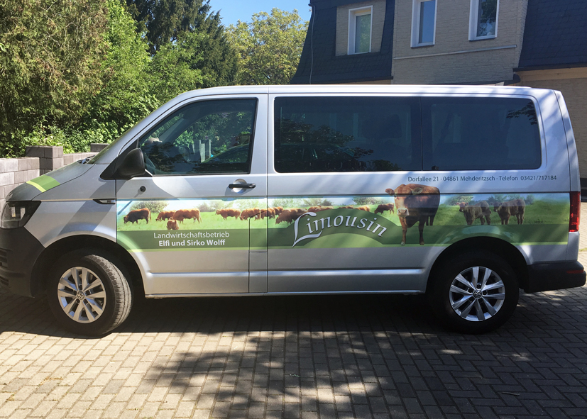 Transporter Limousin